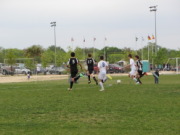 2011-04-10 03-51-23-5-Chance.JPG